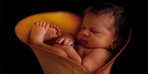 Detail Gambar Bayi Diaborsi Nomer 9