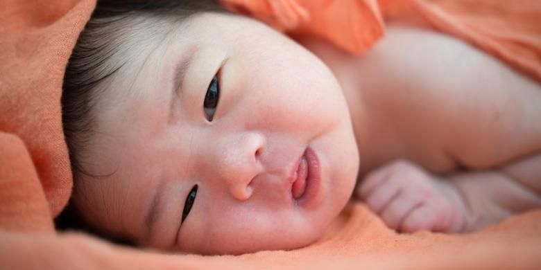 Detail Gambar Bayi Lucu Dan Aneh Nomer 44