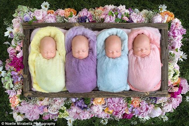 Gambar Bayi Lucu Kembar 4 - KibrisPDR