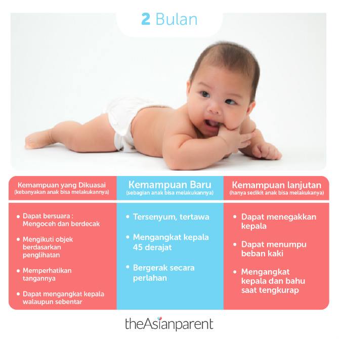 Detail Gambar Bayi Umur 2 Bulan Nomer 5