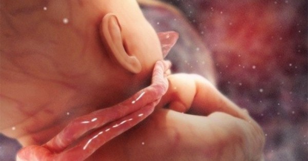 Detail Gambar Bayi Usia 7 Bulan Nomer 25