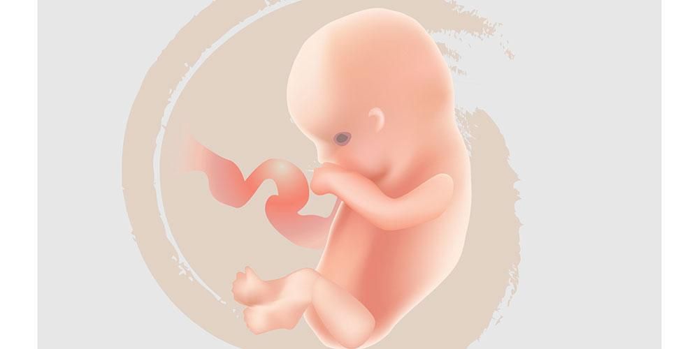 Detail Gambar Bayi Usia 7 Bulan Nomer 34