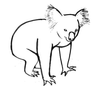 Detail Koala Malen Einfach Nomer 28