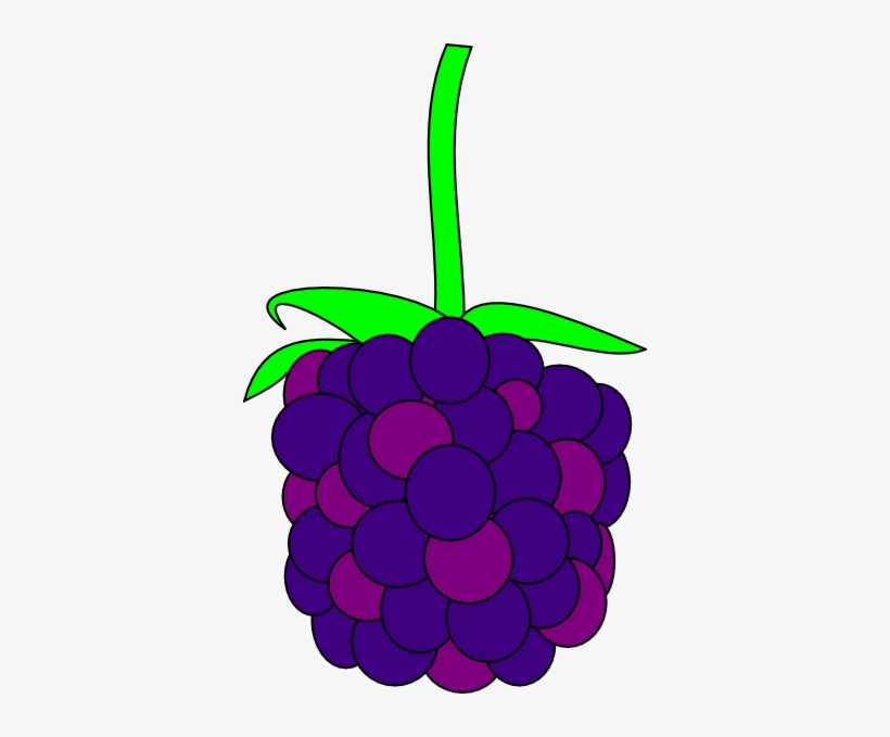 Detail Blackberry Fruit Png Nomer 11