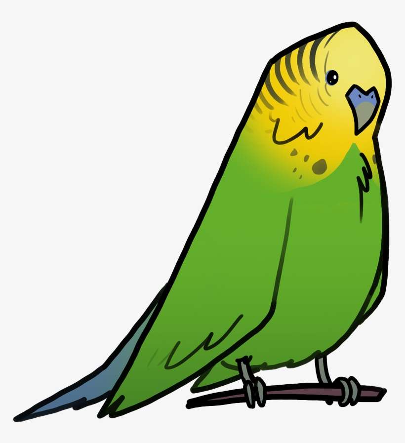 Detail Budgie Png Nomer 10