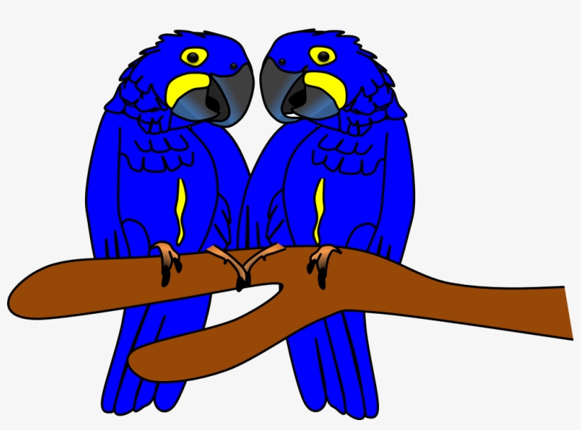 Detail Budgie Png Nomer 15