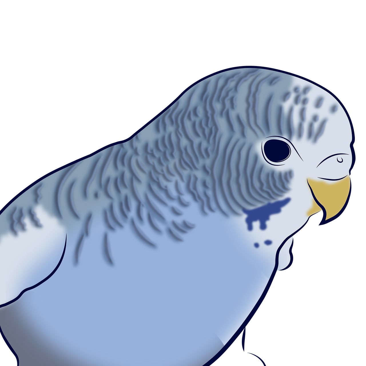 Detail Budgie Png Nomer 17