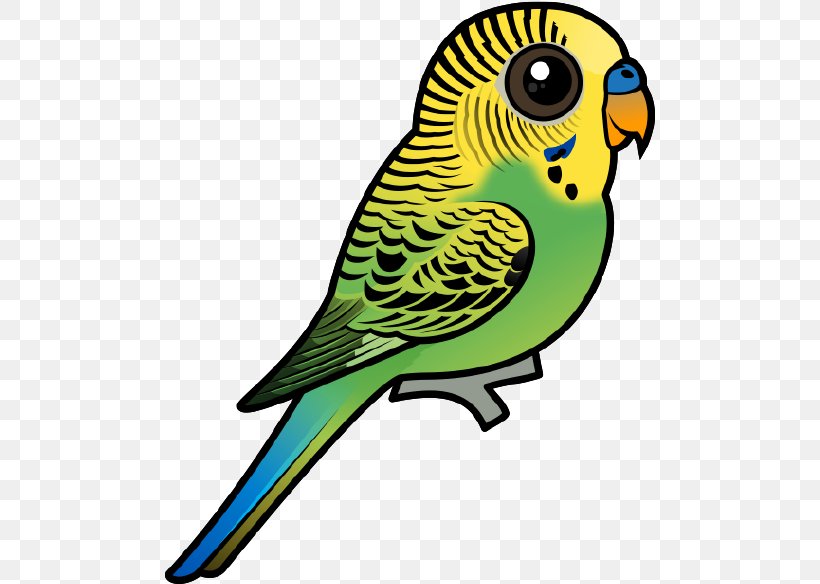 Detail Budgie Png Nomer 7