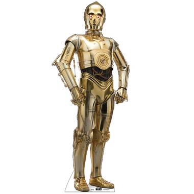 Detail C3po Sheldon Nomer 5