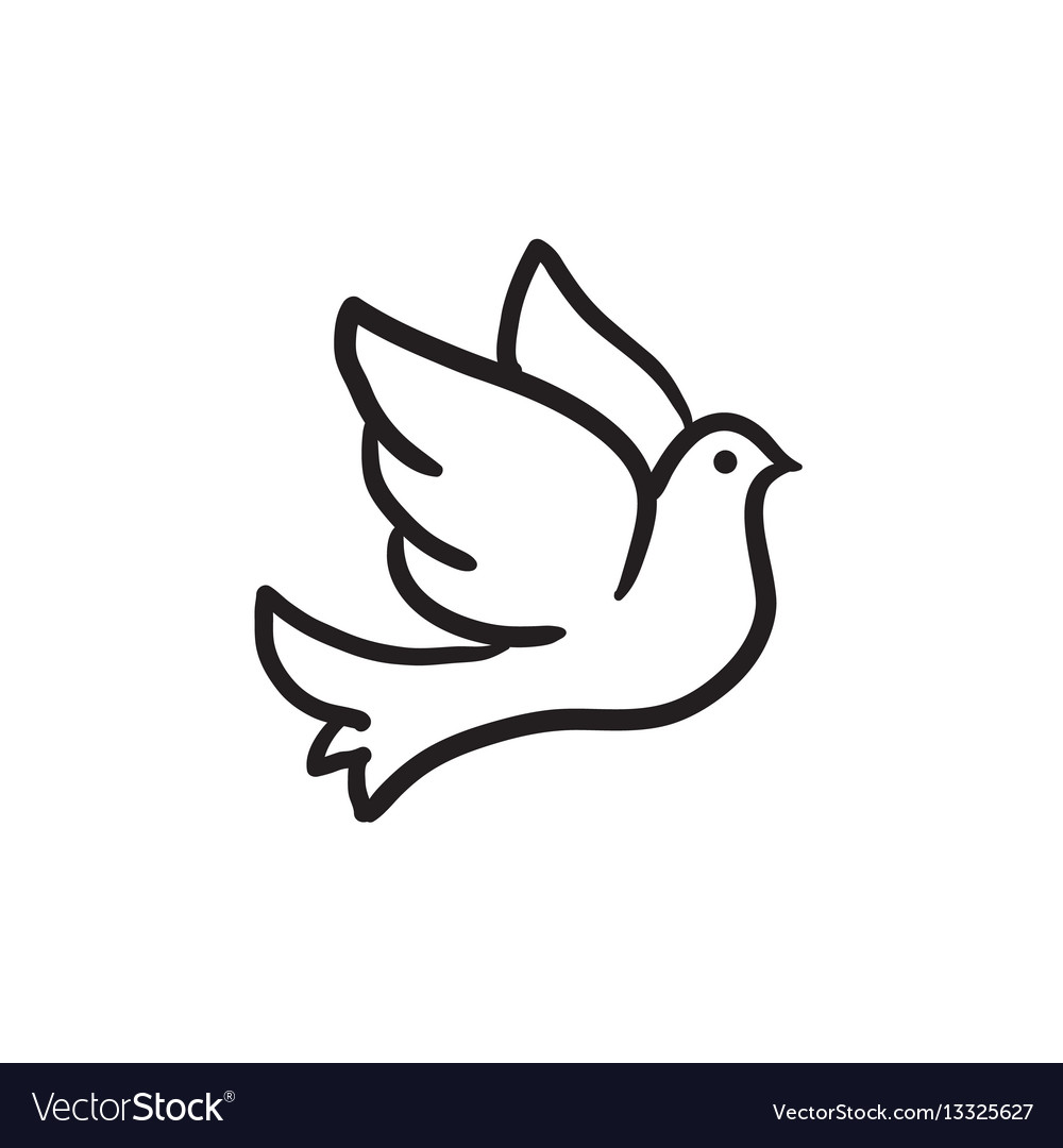 Detail Dove Drawing Nomer 8