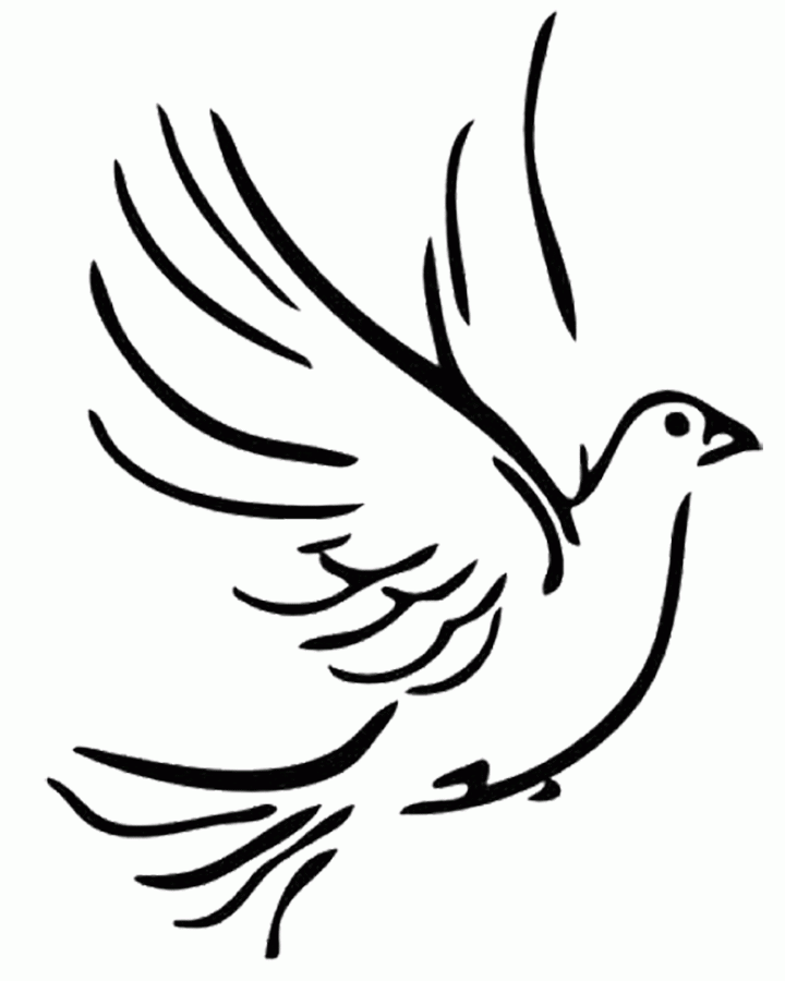 Detail Dove Drawing Nomer 13