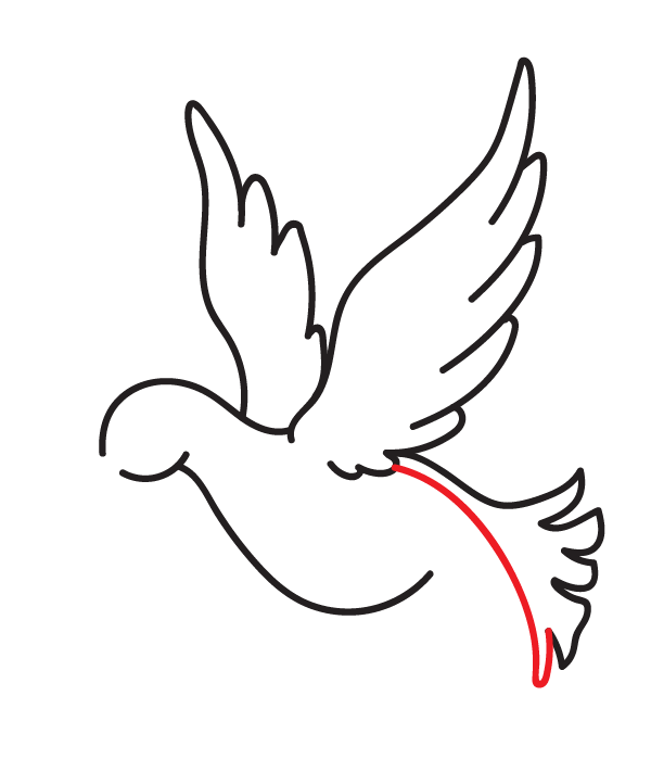 Detail Dove Drawing Nomer 15