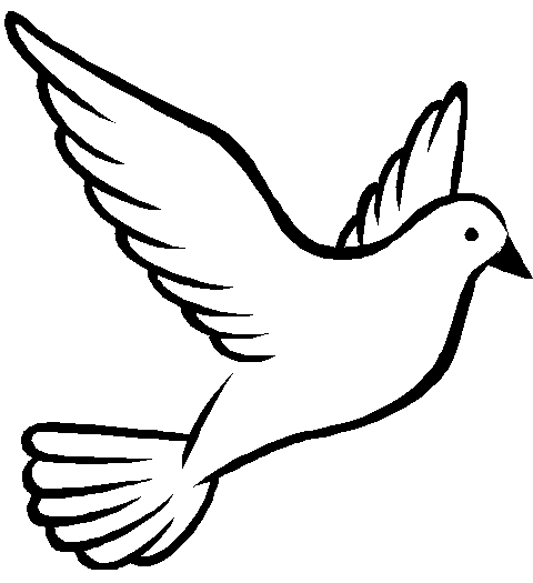 Detail Dove Drawing Nomer 17