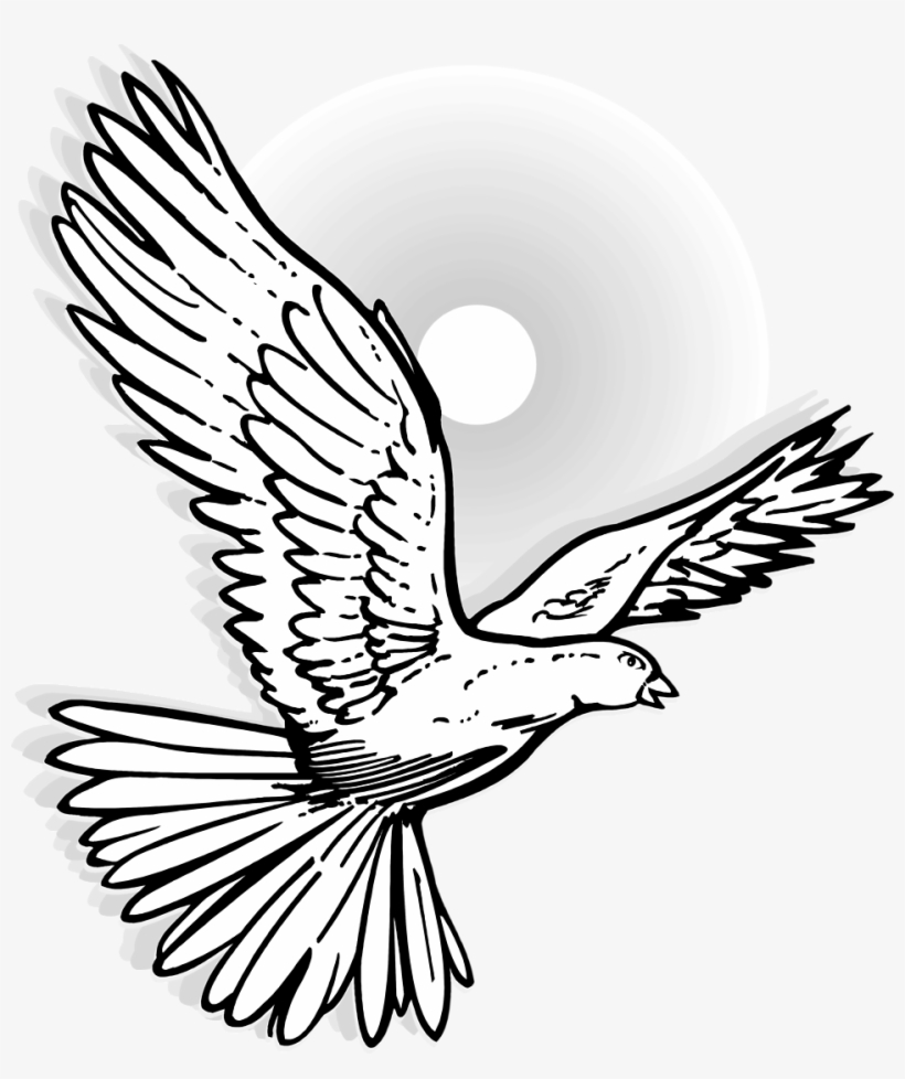Detail Dove Drawing Nomer 19