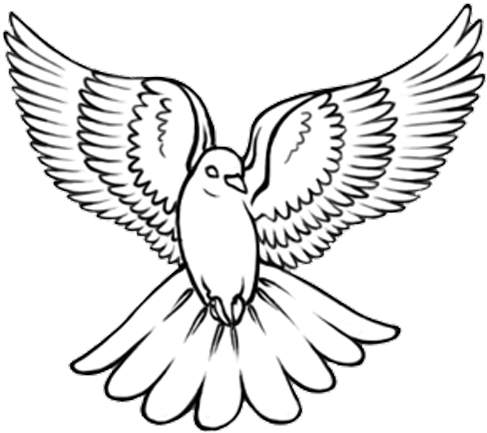 Detail Dove Drawing Nomer 23
