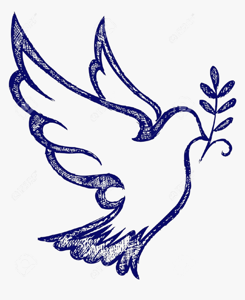 Detail Dove Drawing Nomer 24