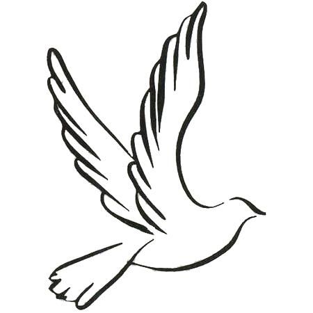 Detail Dove Drawing Nomer 2