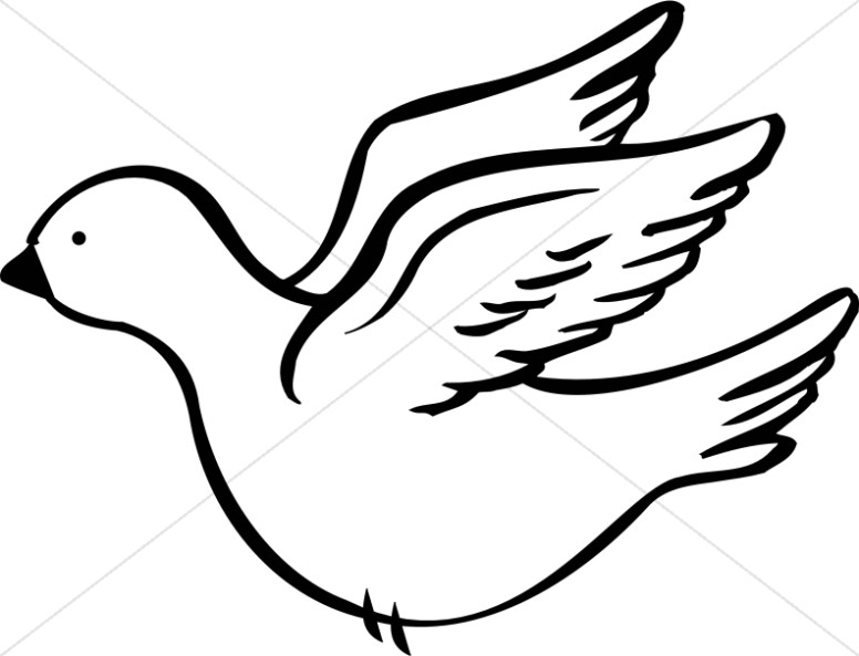 Detail Dove Drawing Nomer 25
