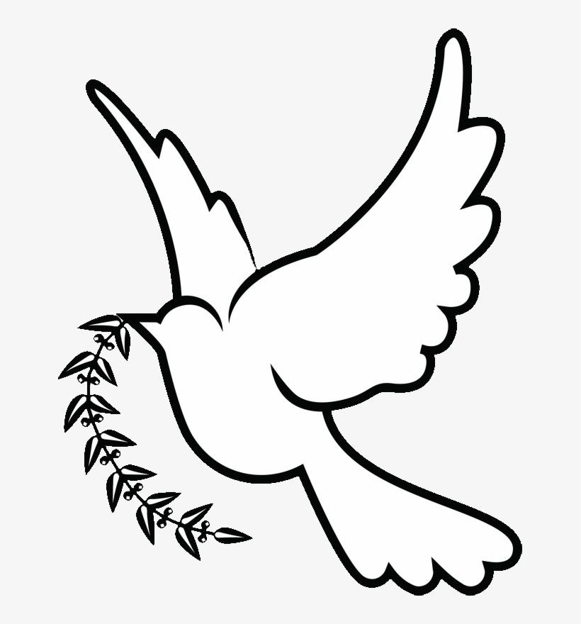 Detail Dove Drawing Nomer 3