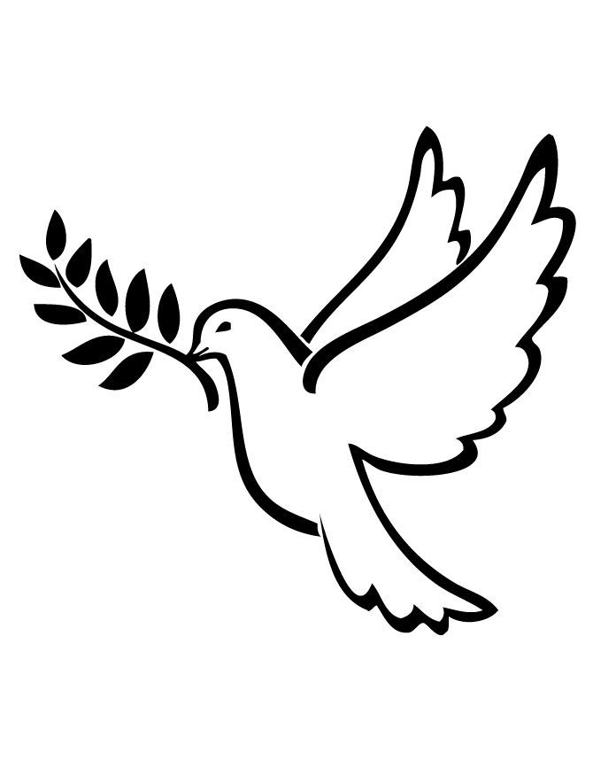 Detail Dove Drawing Nomer 4