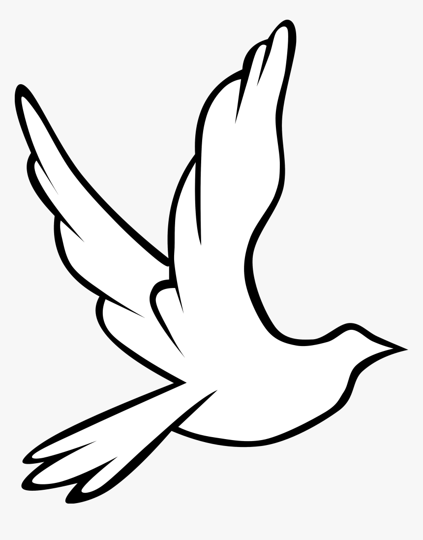 Detail Dove Drawing Nomer 5