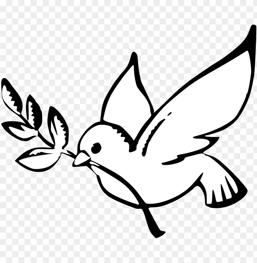 Detail Dove Drawing Nomer 7