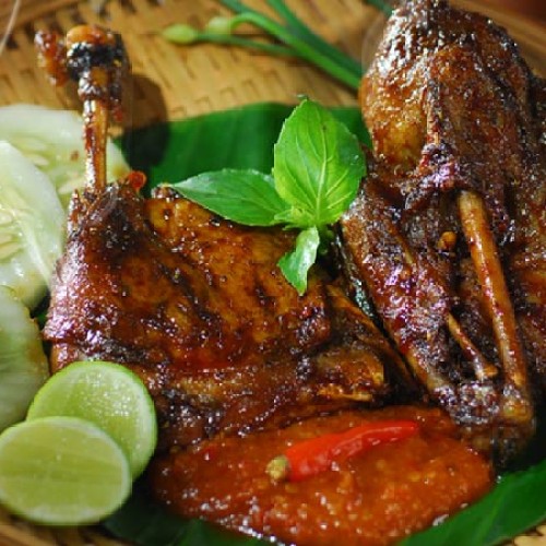 Detail Gambar Bebek Dan Ayam Nomer 42