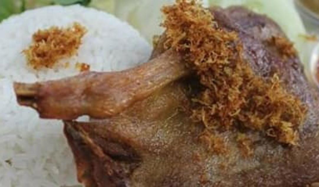 Detail Gambar Bebek Dan Ayam Nomer 49