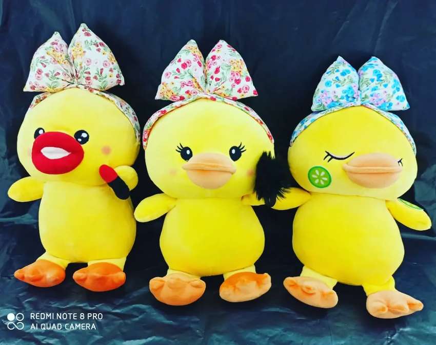 Detail Gambar Bebek Lucu Nomer 4