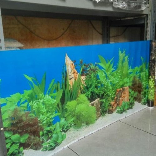 Detail Gambar Belakang Aquarium Nomer 27