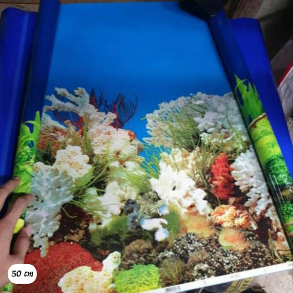 Detail Gambar Belakang Aquarium Nomer 39