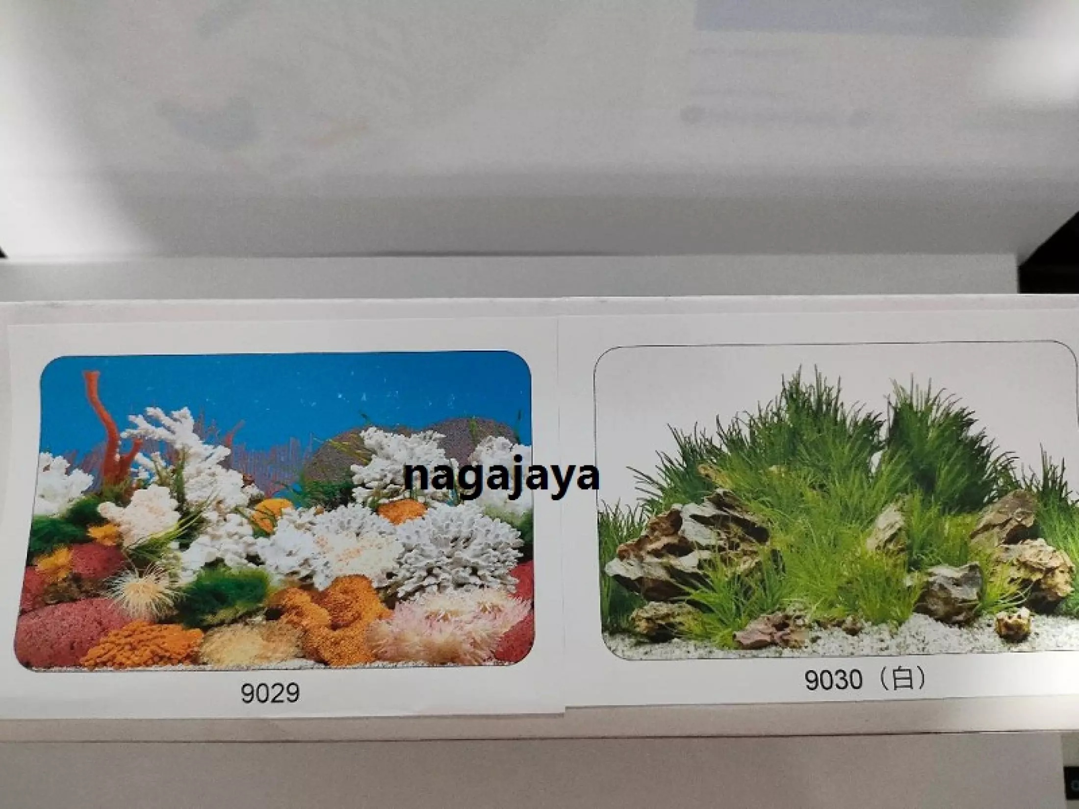 Detail Gambar Belakang Aquarium Nomer 55