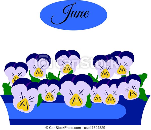 Detail Juni Design Nomer 5
