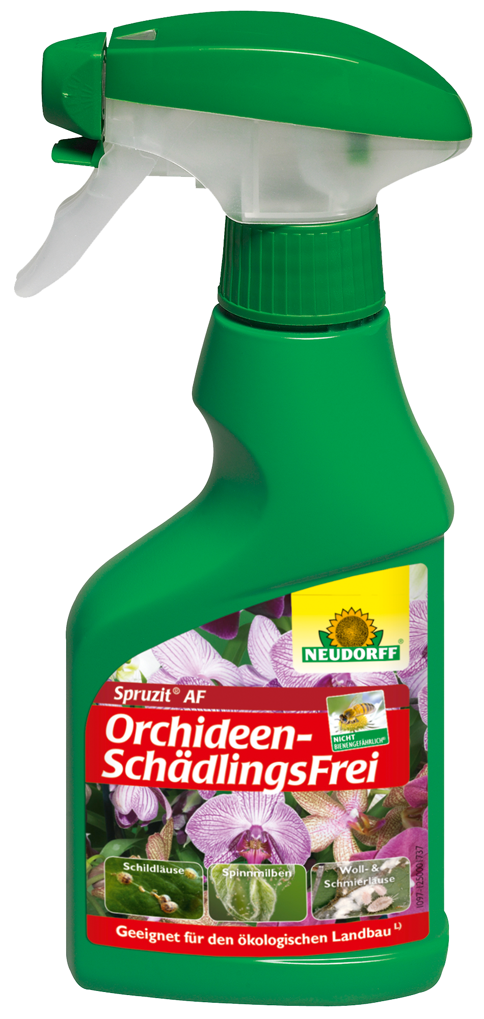 Detail Orchideen Zeichnen Einfach Nomer 26