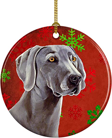 Weimaraner Service Dog - KibrisPDR