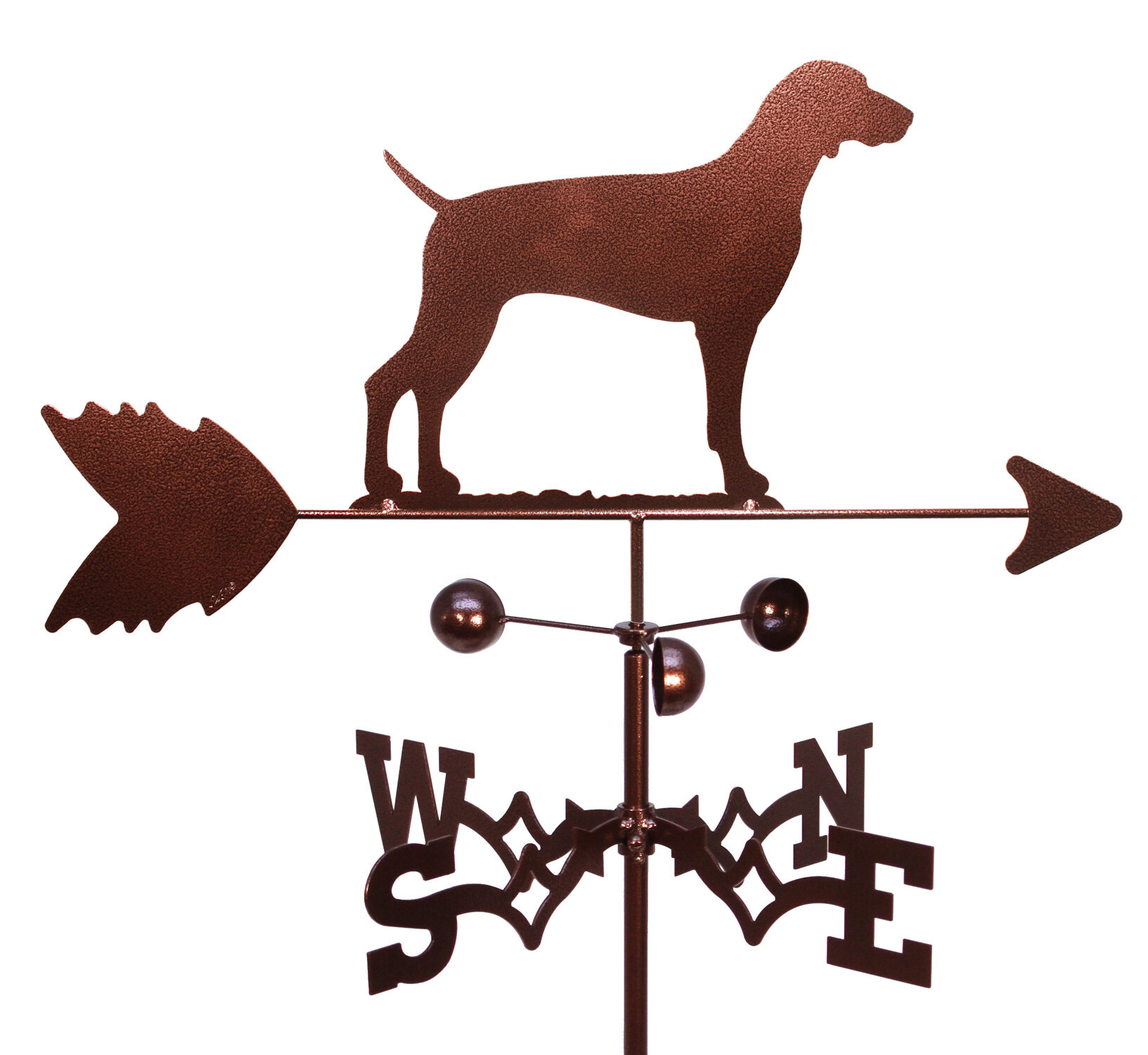 Detail Weimaraner Service Dog Nomer 15