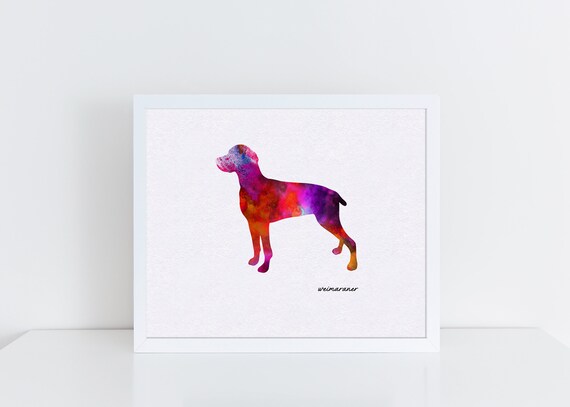 Detail Weimaraner Service Dog Nomer 16