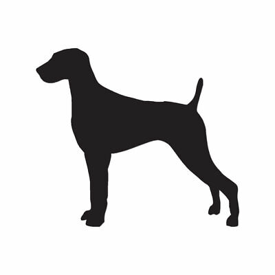 Detail Weimaraner Service Dog Nomer 3