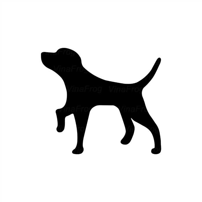 Detail Weimaraner Service Dog Nomer 5
