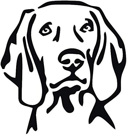 Detail Weimaraner Service Dog Nomer 8