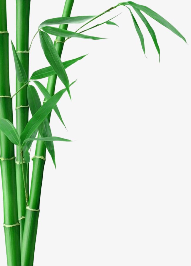 Detail Chinesische Malerei Bambus Nomer 24