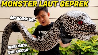 Detail Gambar Belut Raksasa Nomer 35