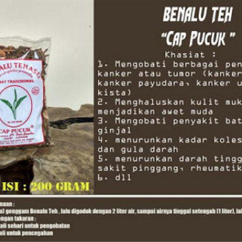 Detail Gambar Benalu Teh Asli Nomer 56