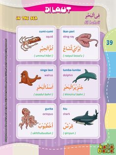 Detail Gambar Benda Dalam Bahasa Arab Nomer 36