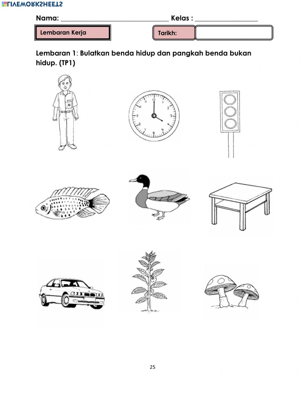 Detail Gambar Benda Hidup Nomer 4