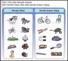 Detail Gambar Benda Mati Dan Benda Hidup Nomer 12