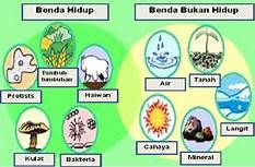 Download Gambar Benda Tak Hidup Nomer 31