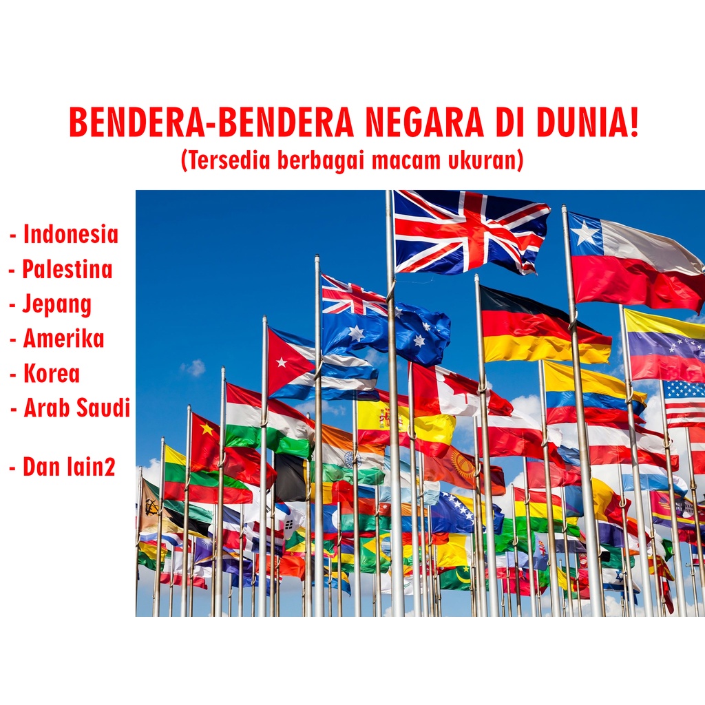 Detail Gambar Bendera Bendera Dunia Nomer 32