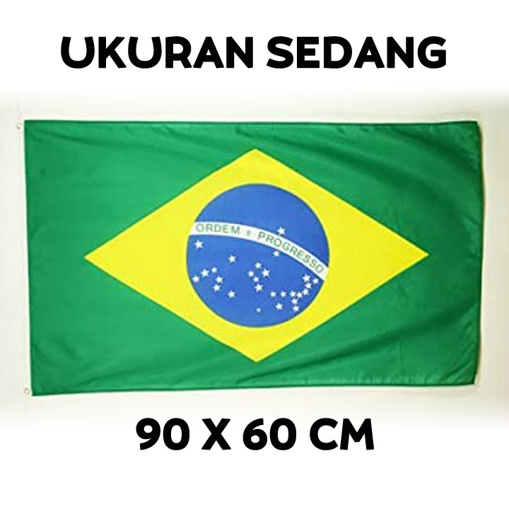 Detail Gambar Bendera Brazil Dan Perempuan Nomer 32