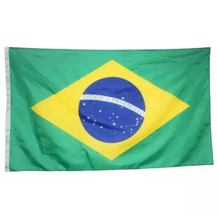 Detail Gambar Bendera Brazil Dan Perempuan Nomer 45